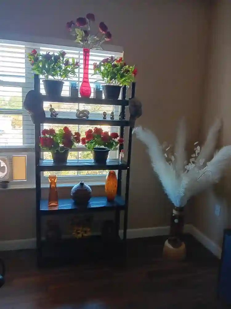 Temporary live in assistant no rent