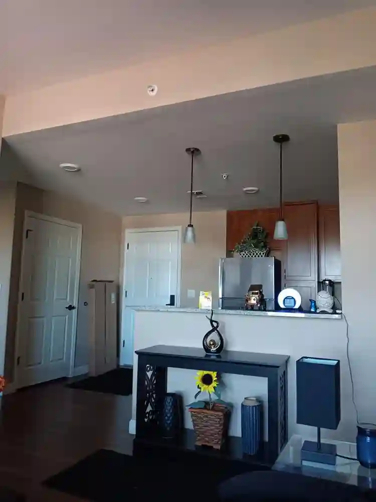 Temporary live in assistant no rent