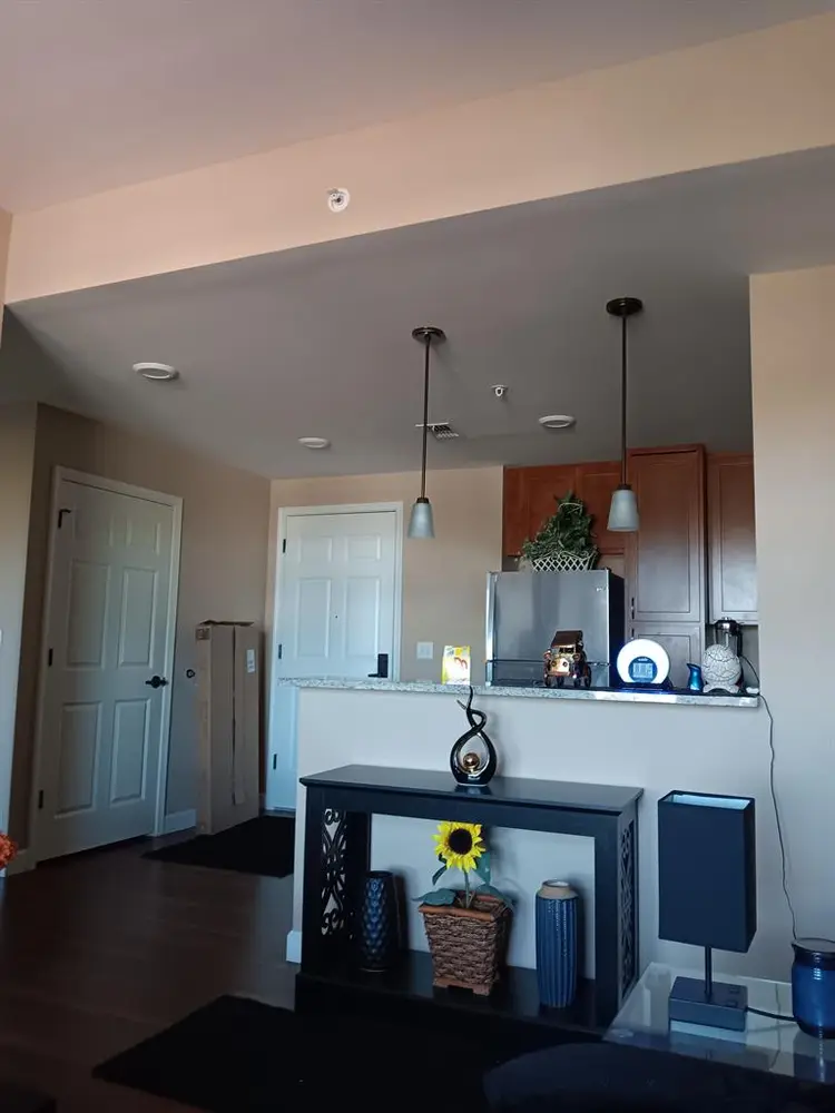 Temporary live in assistant no rent