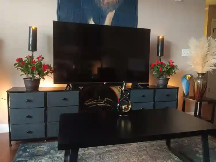 Temporary live in assistant no rent
