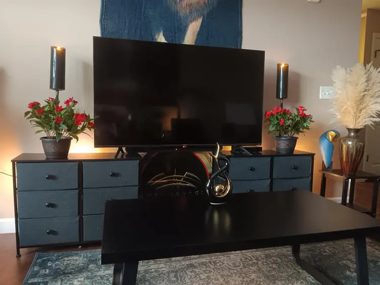 Temporary live in assistant no rent