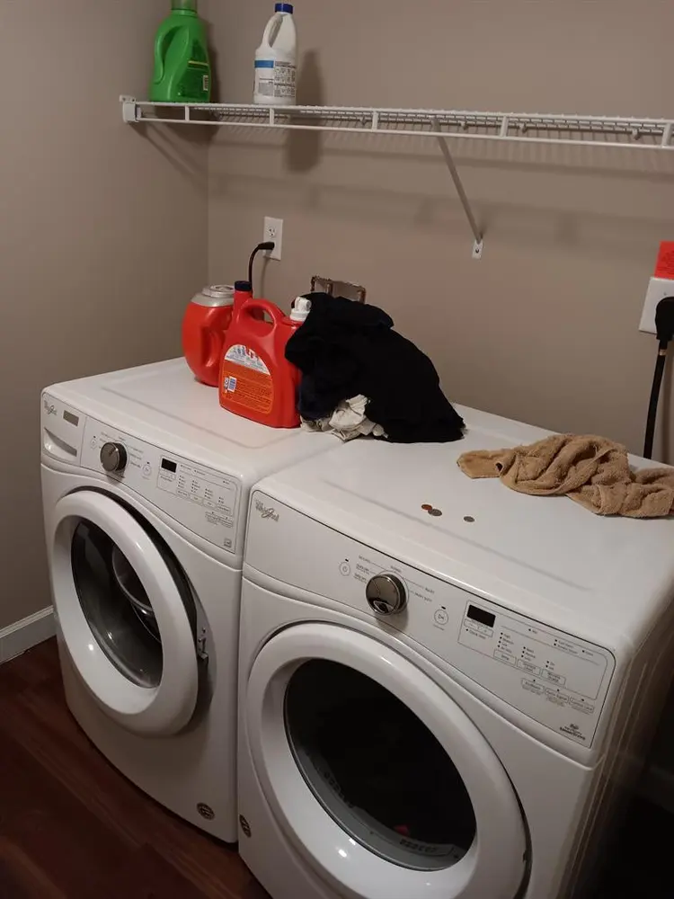 Temporary live in assistant no rent