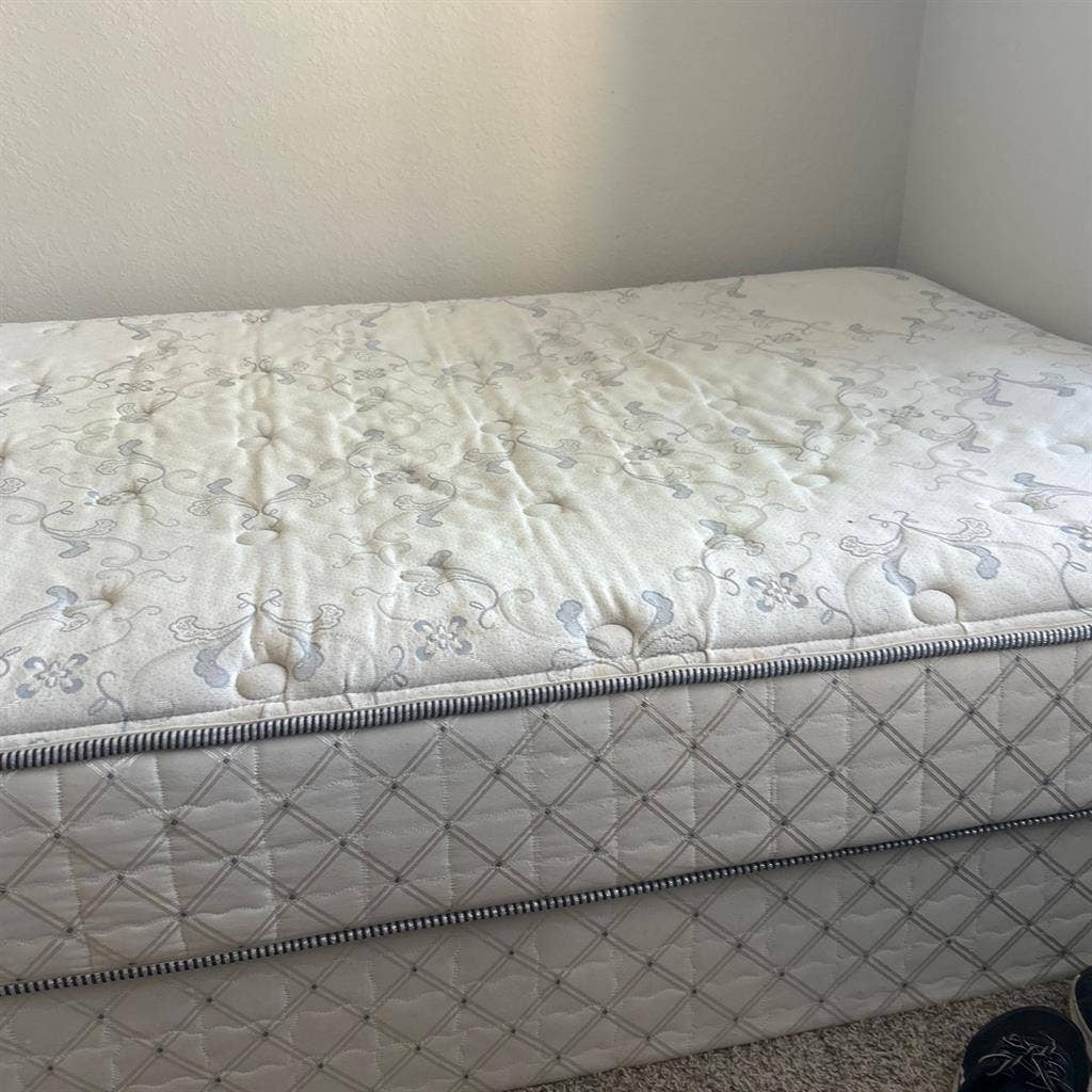 Looking for a roommate