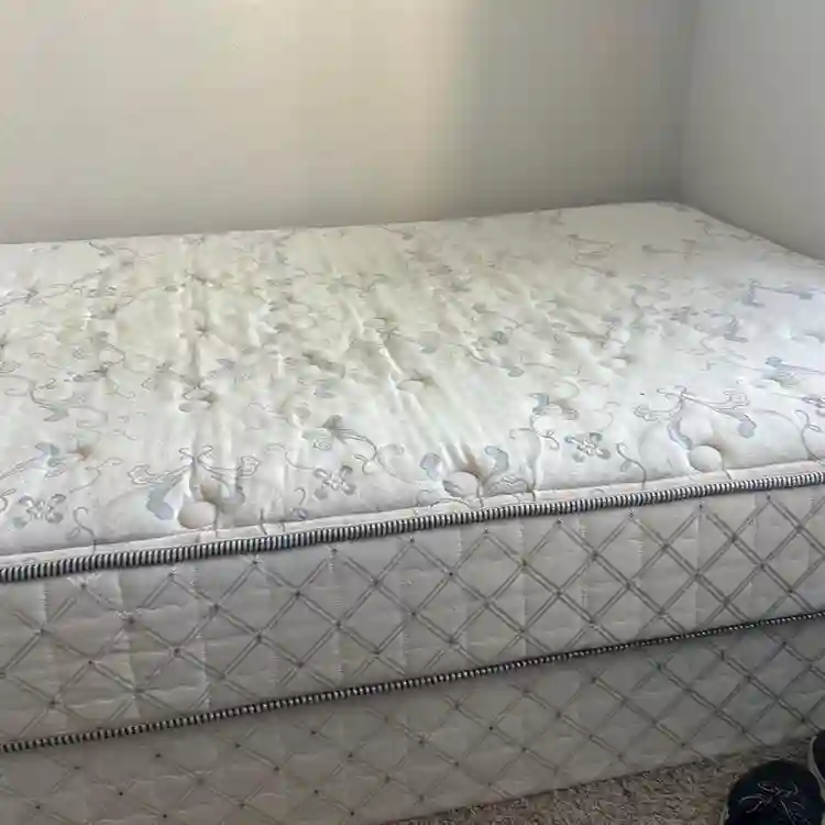 Looking for a roommate