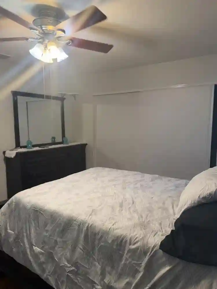 Roommate wanted