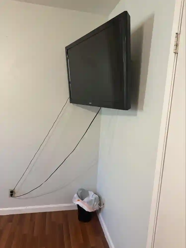 Roommate wanted