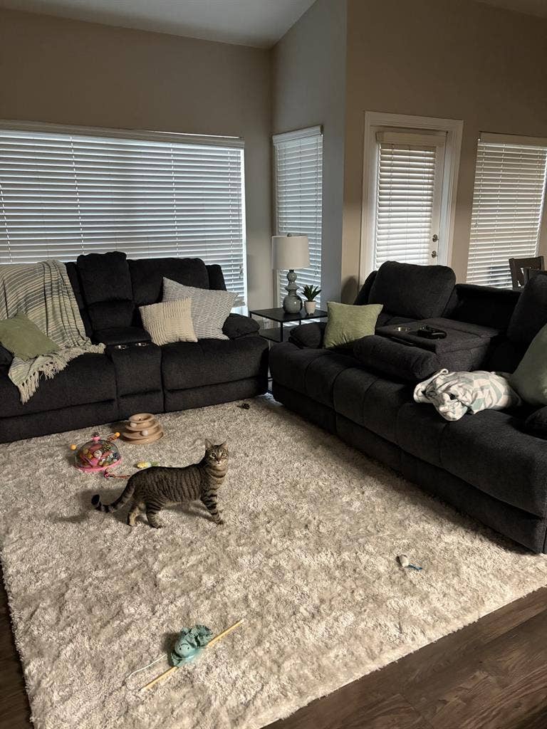 Need Female Roommate West Oak Hill