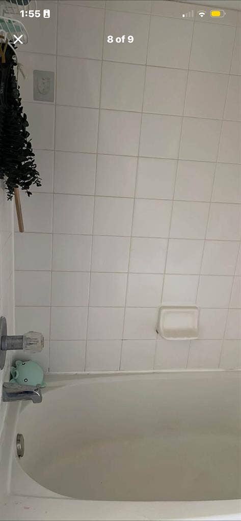 Looking for roomie (Disney area)