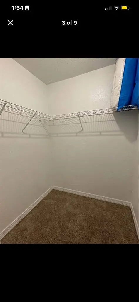 Looking for roomie (Disney area)