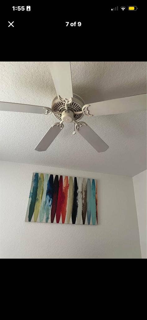 Looking for roomie (Disney area)