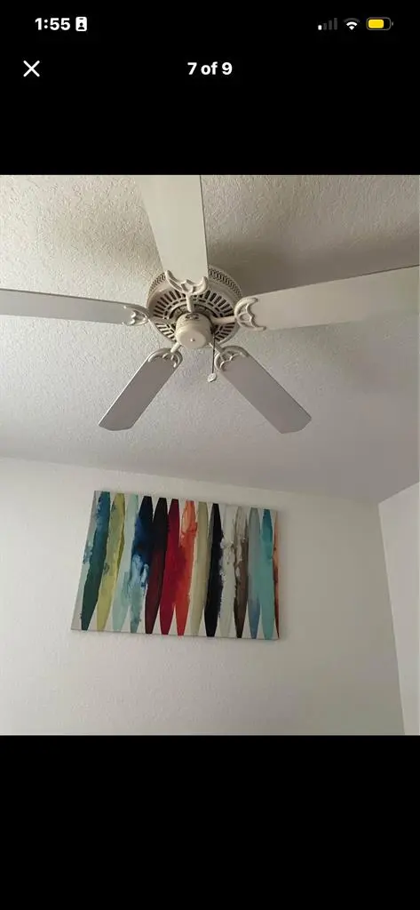 Looking for roomie (Disney area)