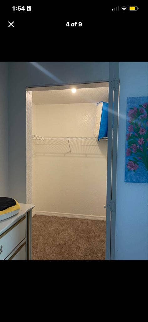 Looking for roomie (Disney area)
