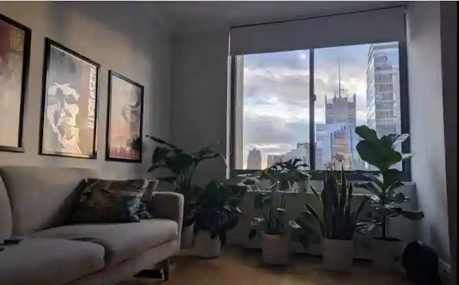 Luxury Living in Midtown West