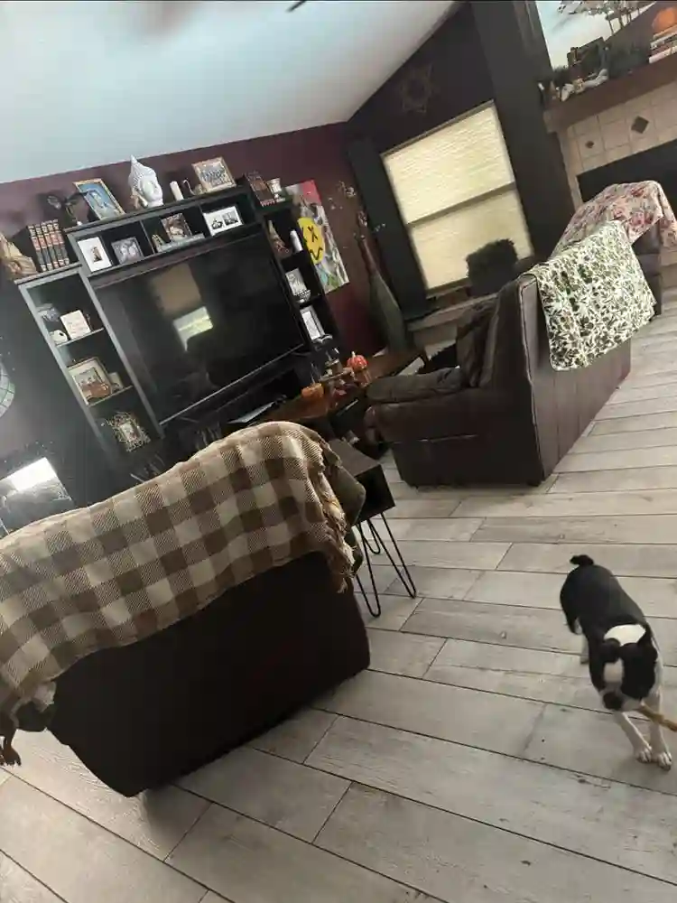 Large Room for Rent