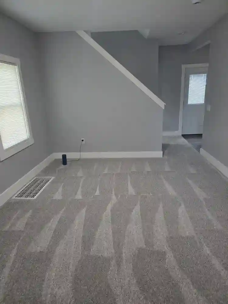 Romm for rent