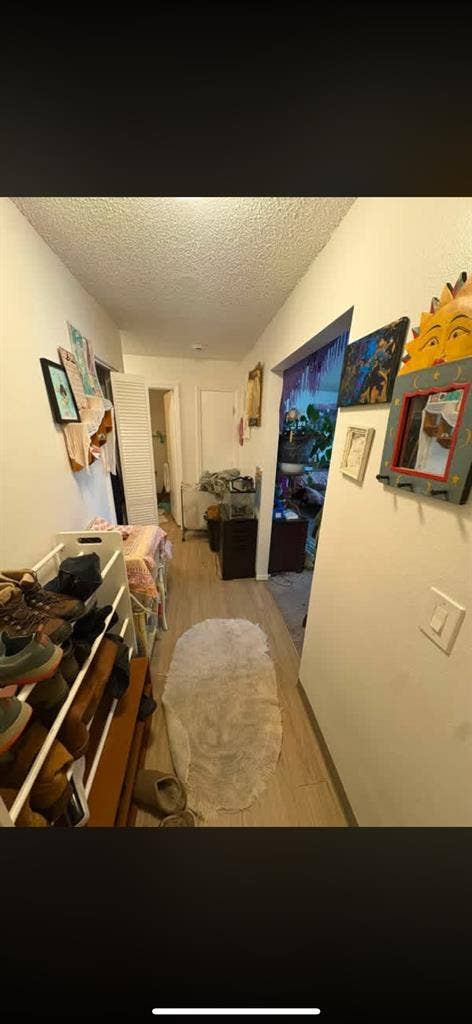 Looking for a Roomate