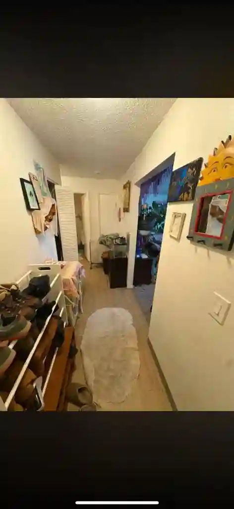 Looking for a Roomate