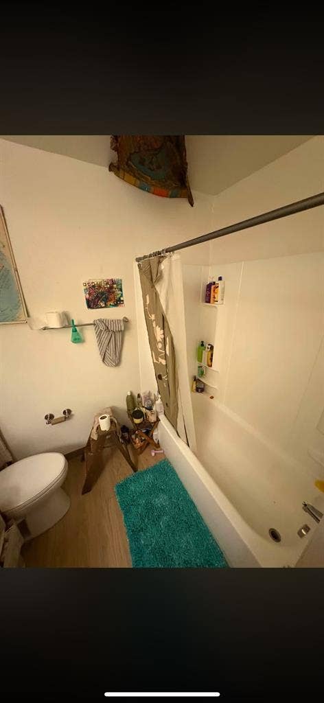 Looking for a Roomate