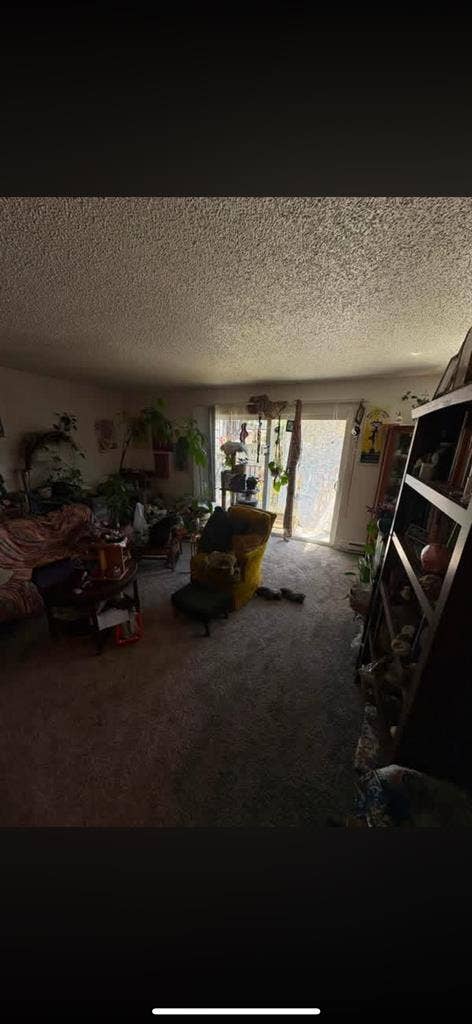 Looking for a Roomate