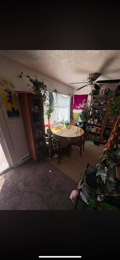 Looking for a Roomate