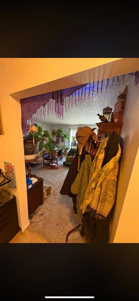 Looking for a Roomate