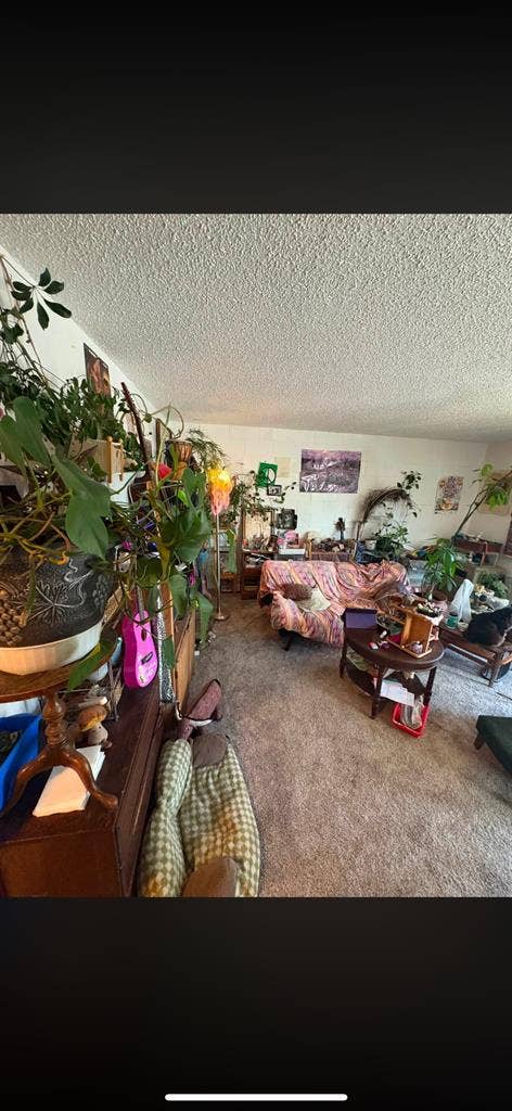 Looking for a Roomate