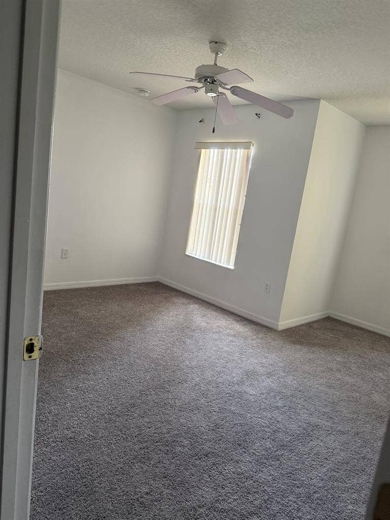 Looking for a roommate