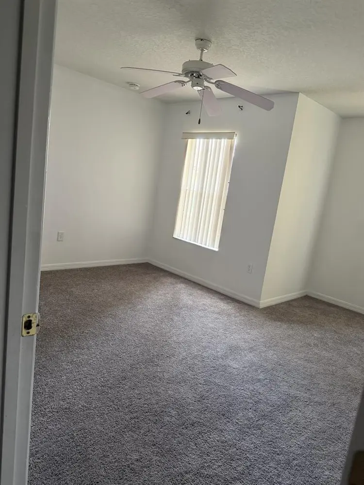 Looking for a roommate