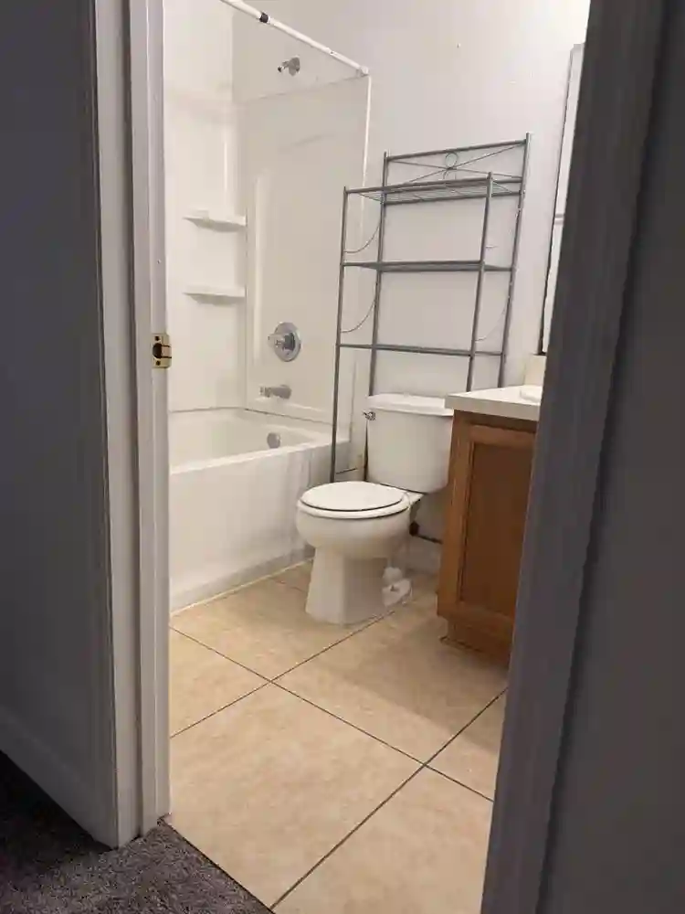 Looking for a roommate