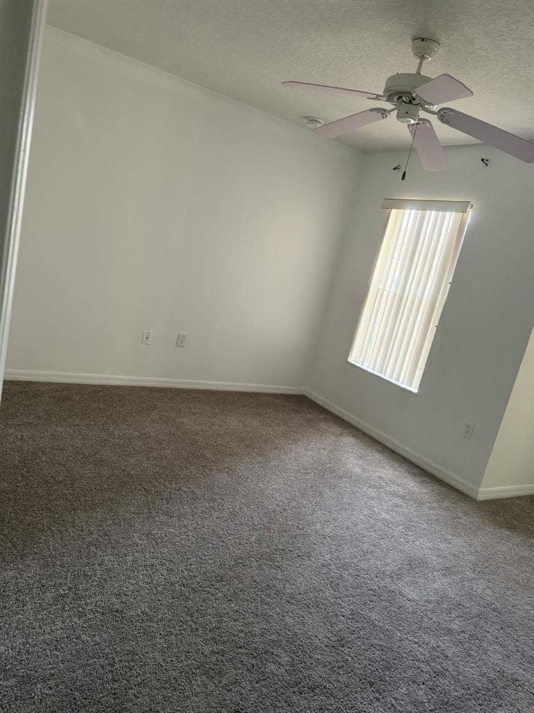 Looking for a roommate