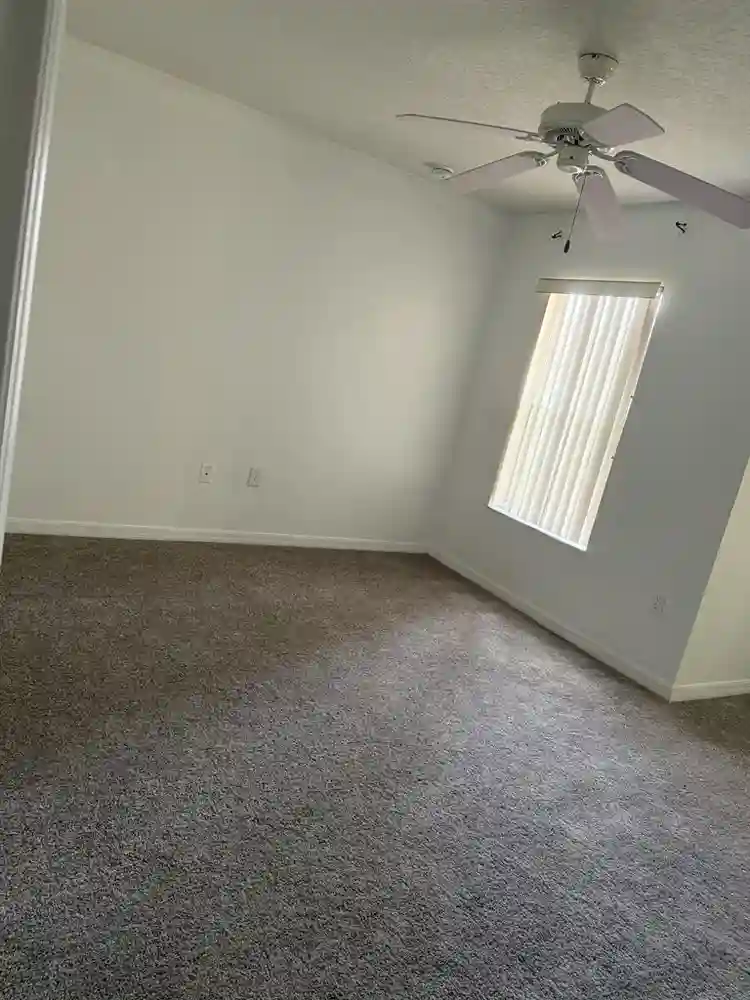 Looking for a roommate