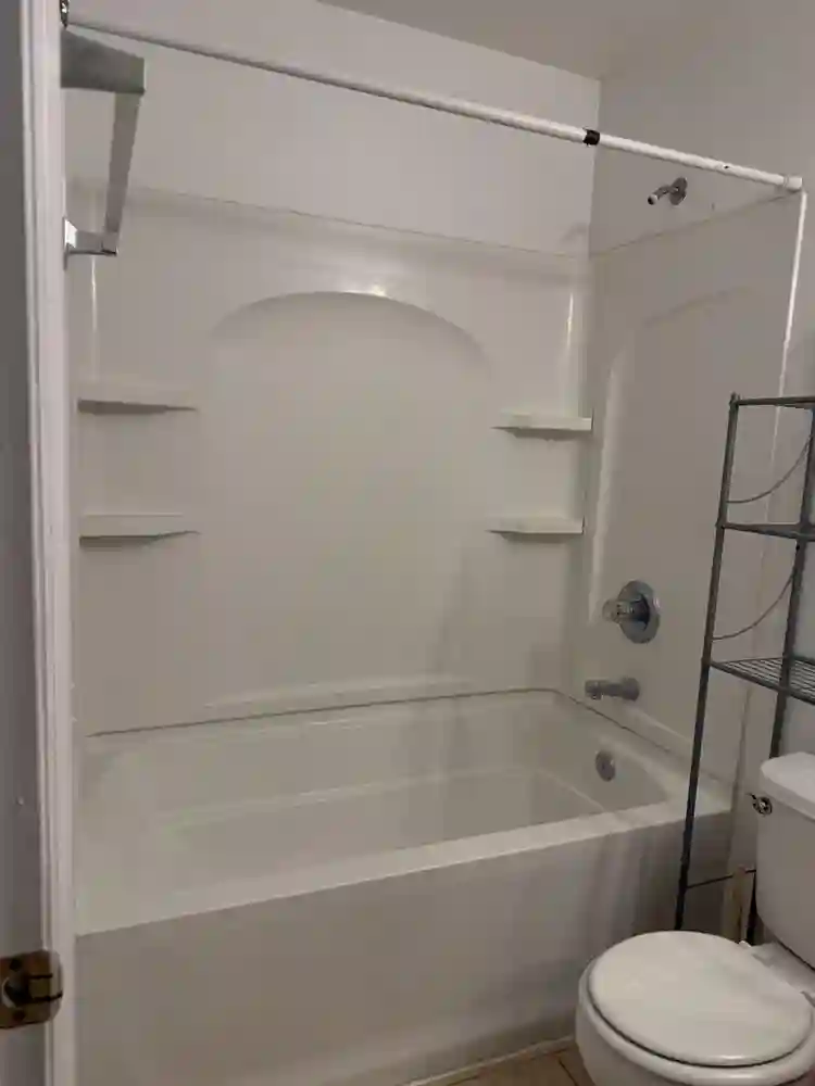 Looking for a roommate