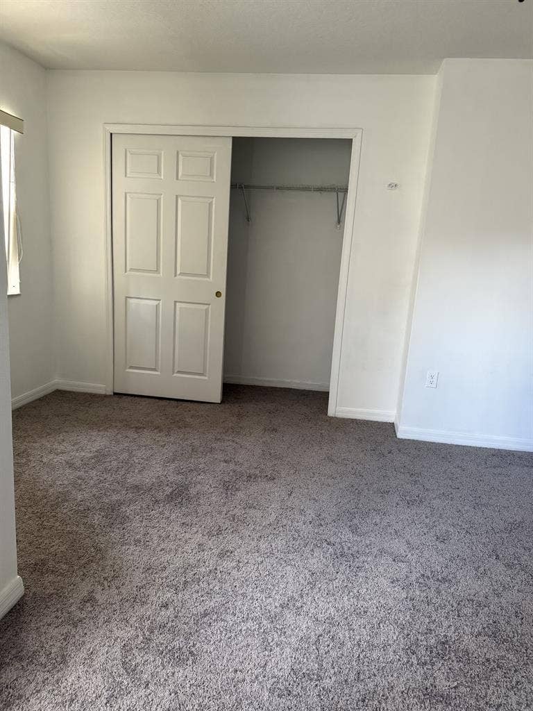 Looking for a roommate