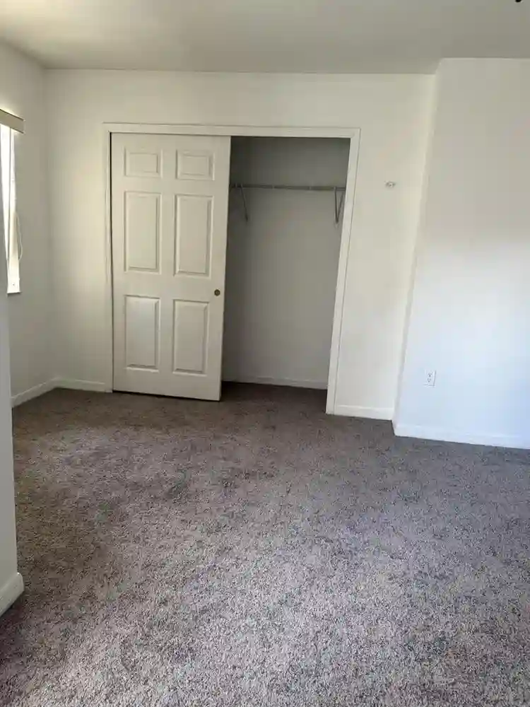 Looking for a roommate