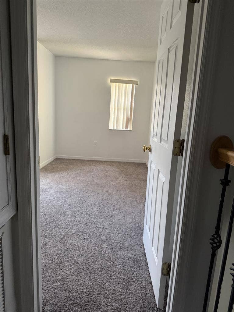 Looking for a roommate