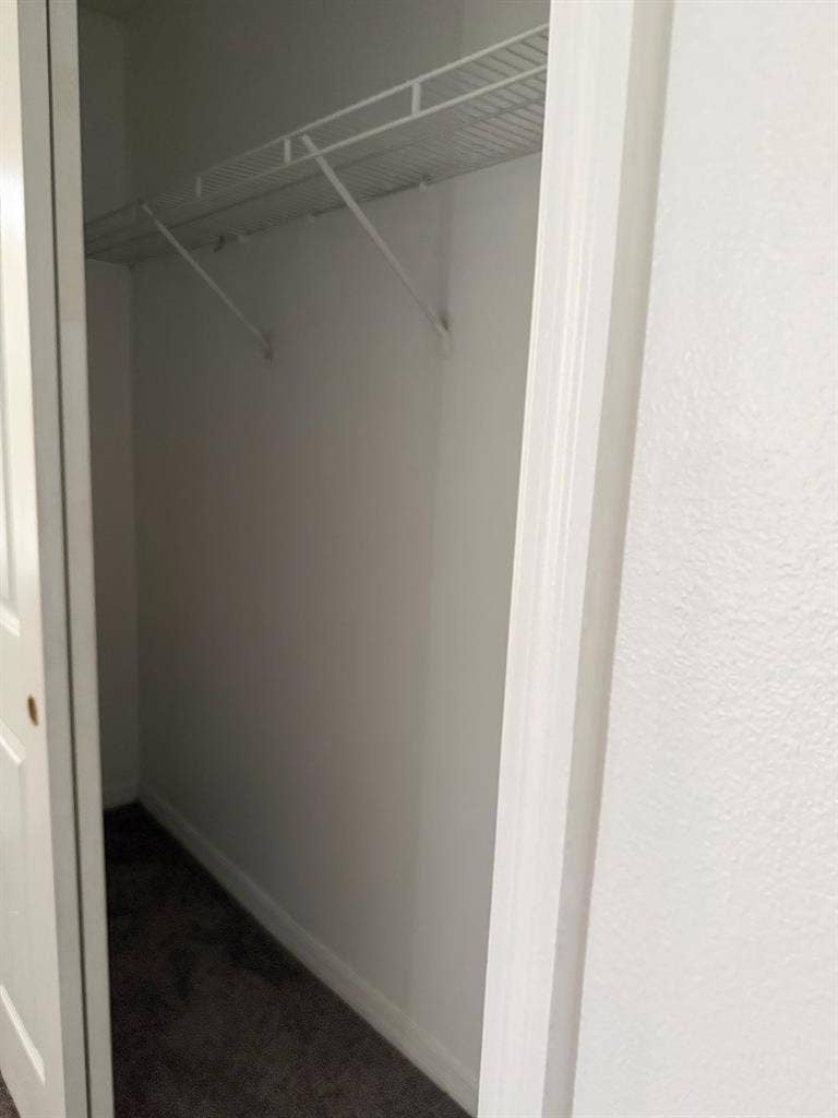 Looking for a roommate