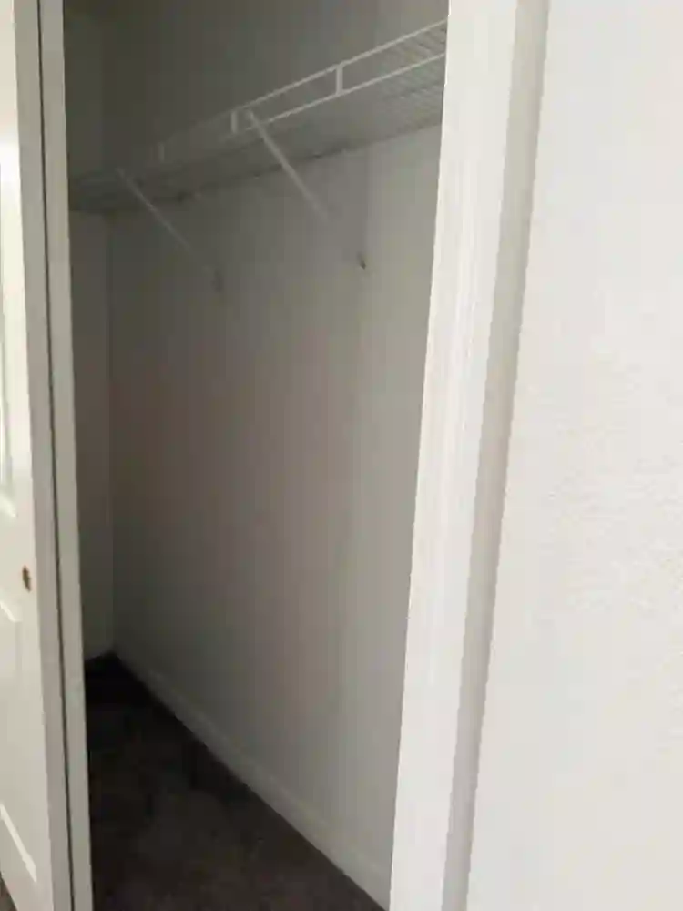 Looking for a roommate