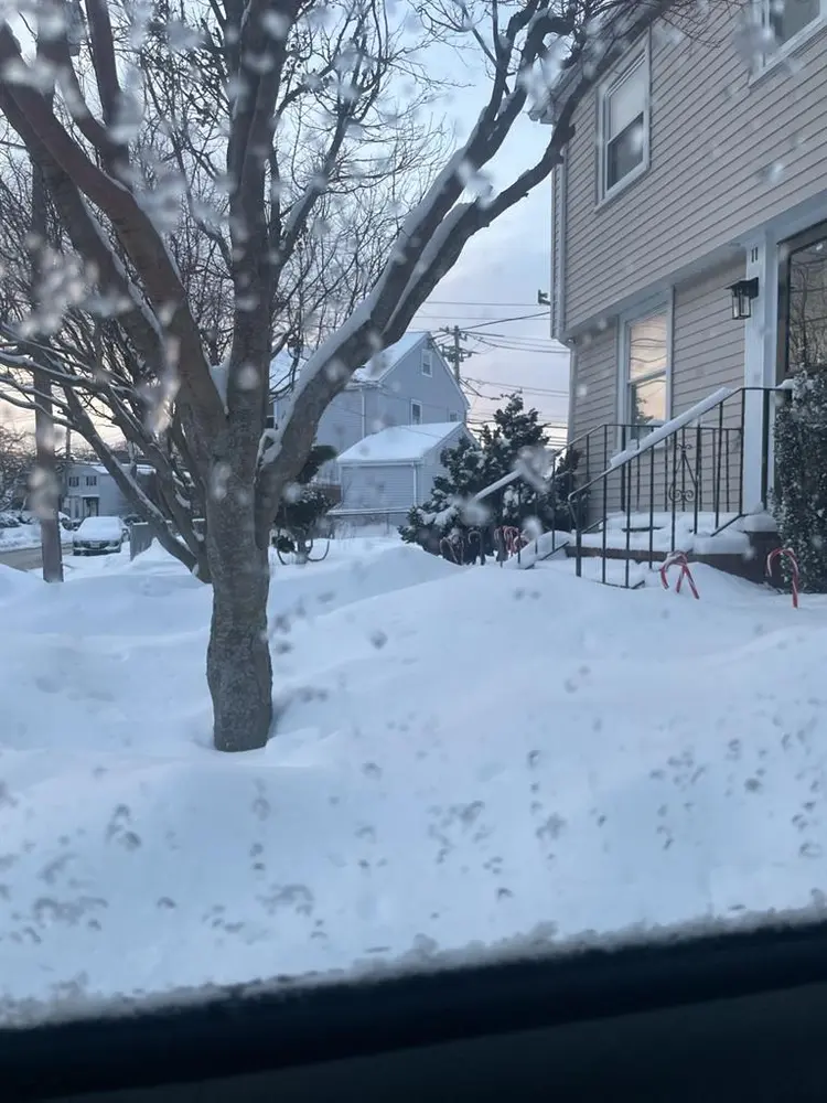 Room for rent in West Roxbury
