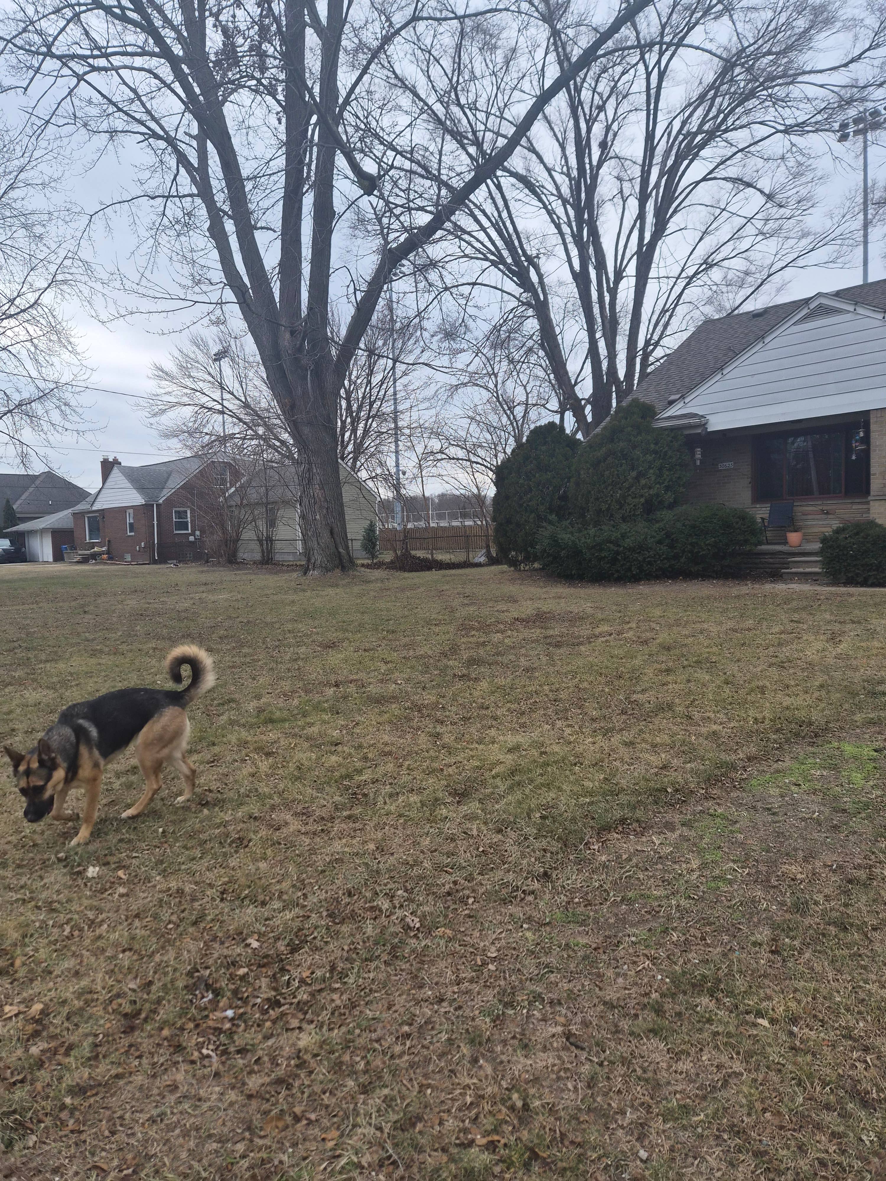 New Listing 13 mile / Hoover road