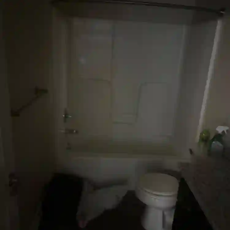 Looking for roommate