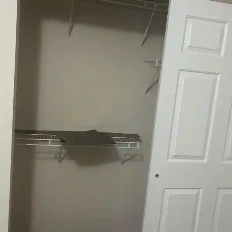 Looking for roommate