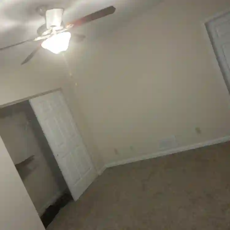 Looking for roommate