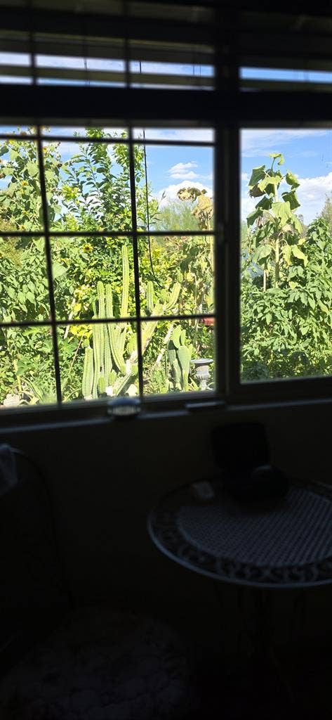 Peaceful, new, uncluttered home