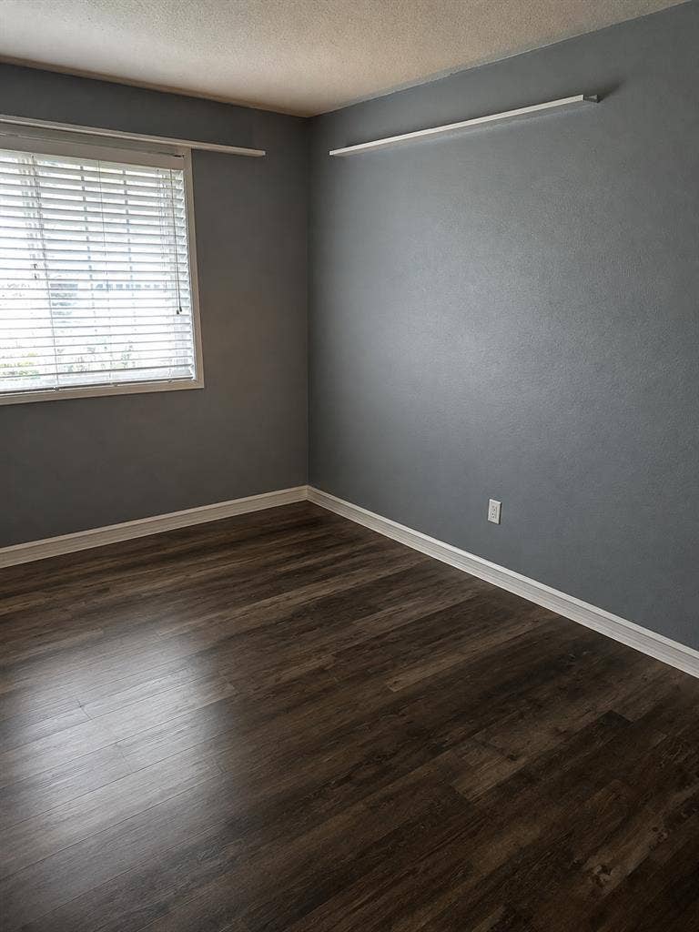 Dog-Friendly Vancouver House Share