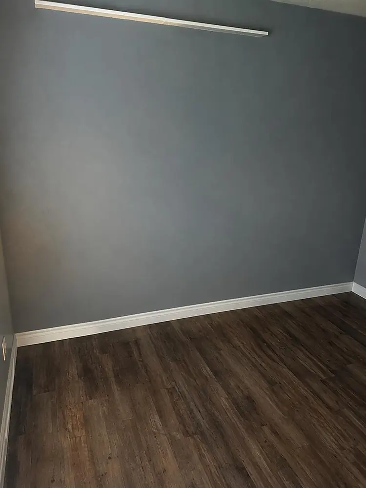 Dog-Friendly Vancouver House Share