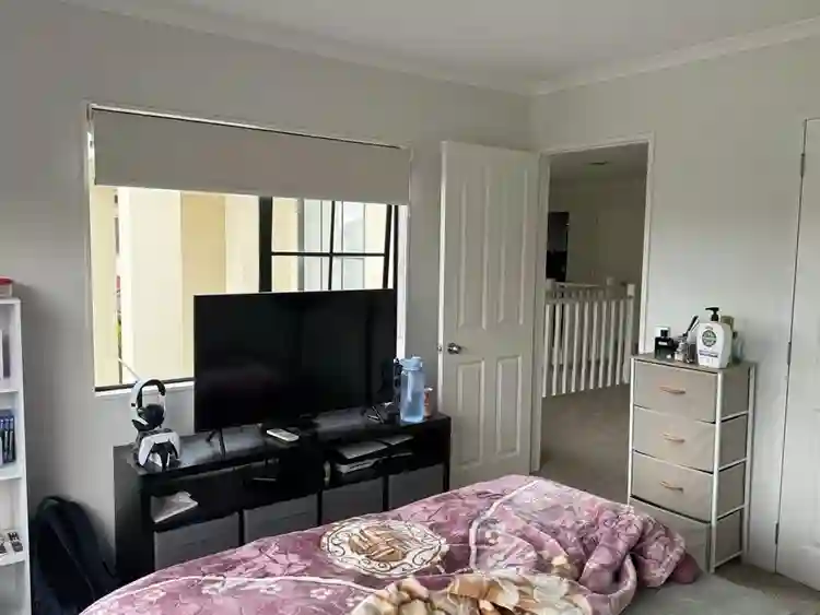 Flatmate wanted (Botany)