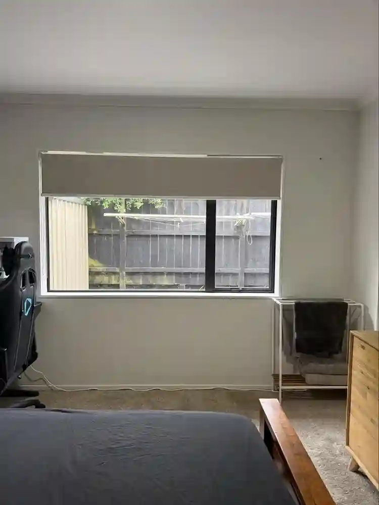 Flatmate wanted (Botany)