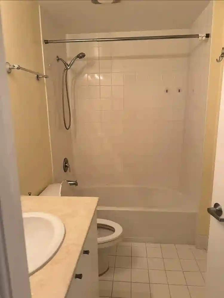 Female roommate wanted