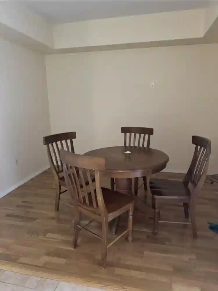 Female roommate wanted