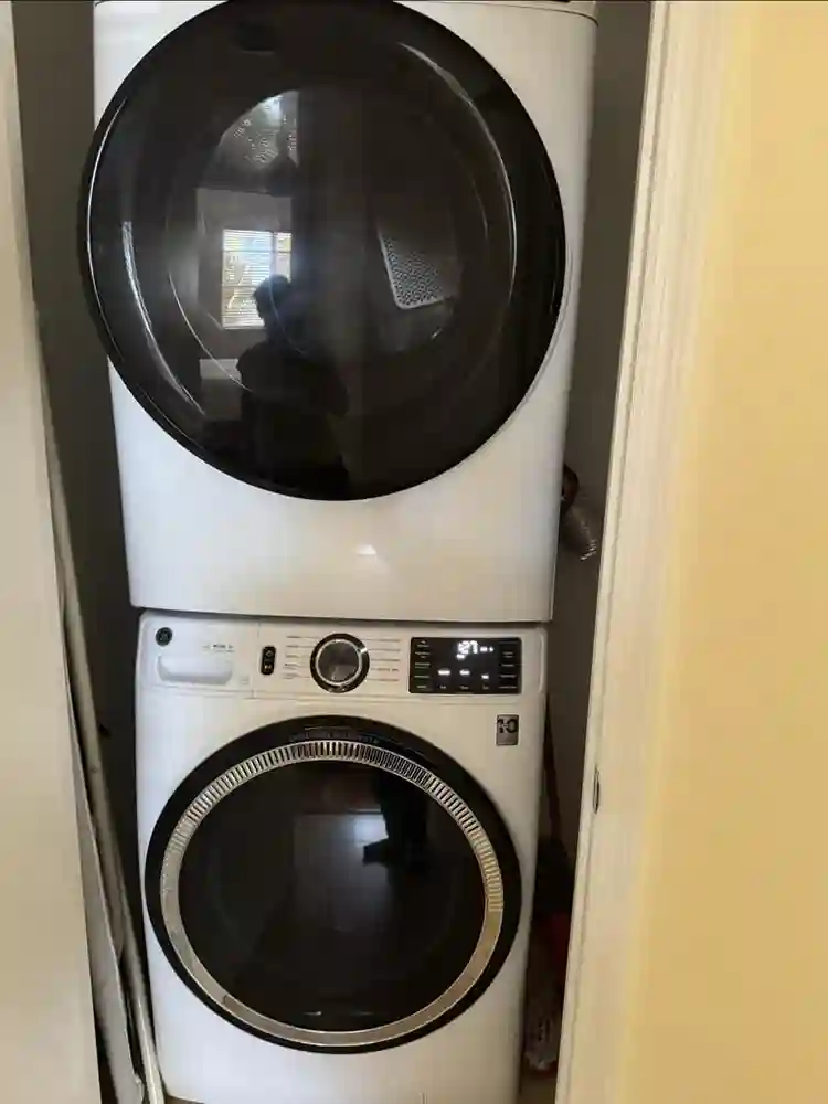 Female roommate wanted